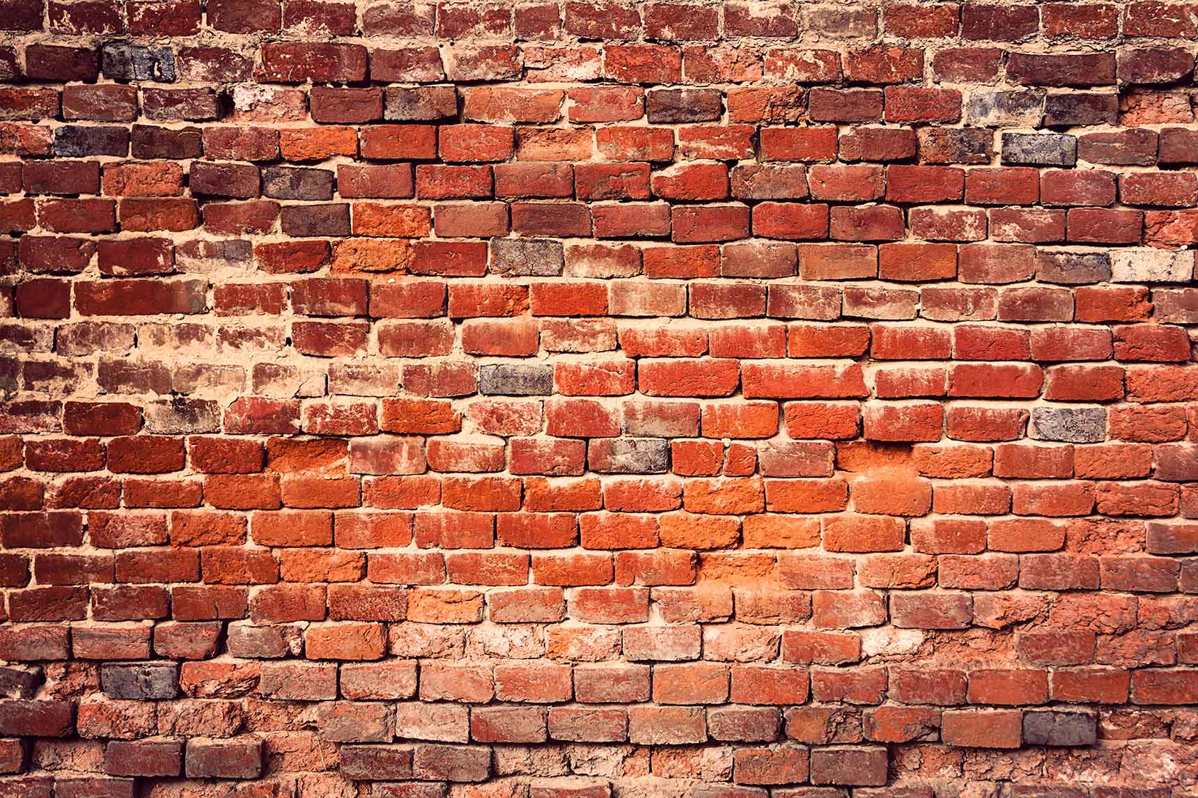 primoid-bricks